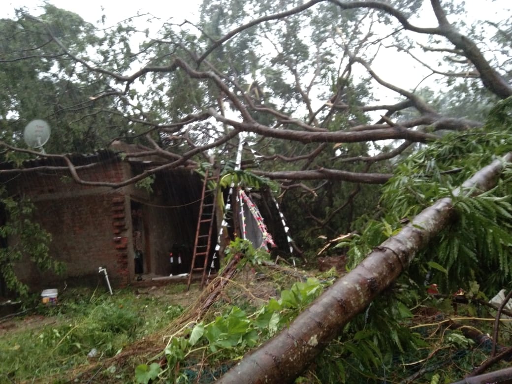 Central team to visit cyclone Bulbul-hit areas