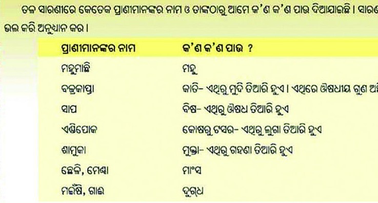 ଚତୁର୍ଥ ଶ୍ରେଣୀ ବହିରେ ବଜ୍ରକାପ୍ତାକୁ ନେଇ ଭୁଲ ତଥ୍ୟ