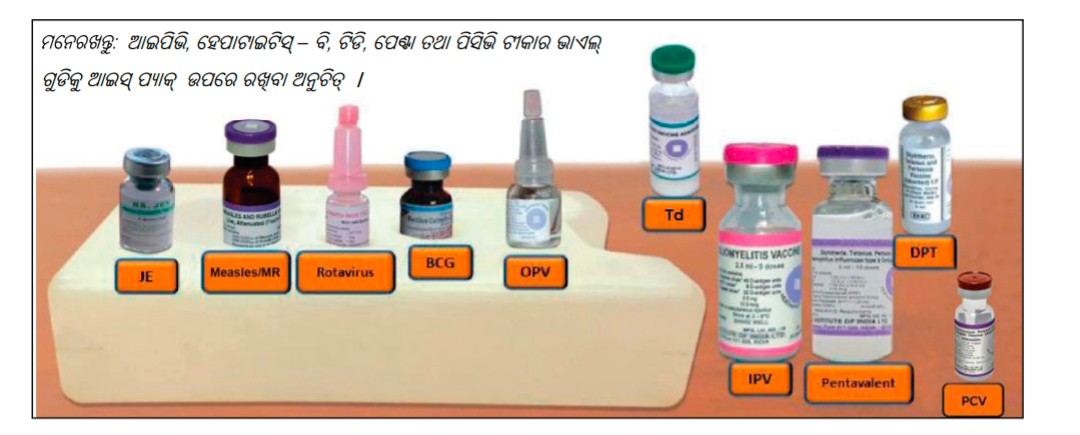 ରାଜ୍ୟବ୍ୟାପୀ ନିମୋକୋକାଲ କଞ୍ଜୁଗେଟ୍ ଟୀକାକରଣ ଶୁଭାରମ୍ଭ