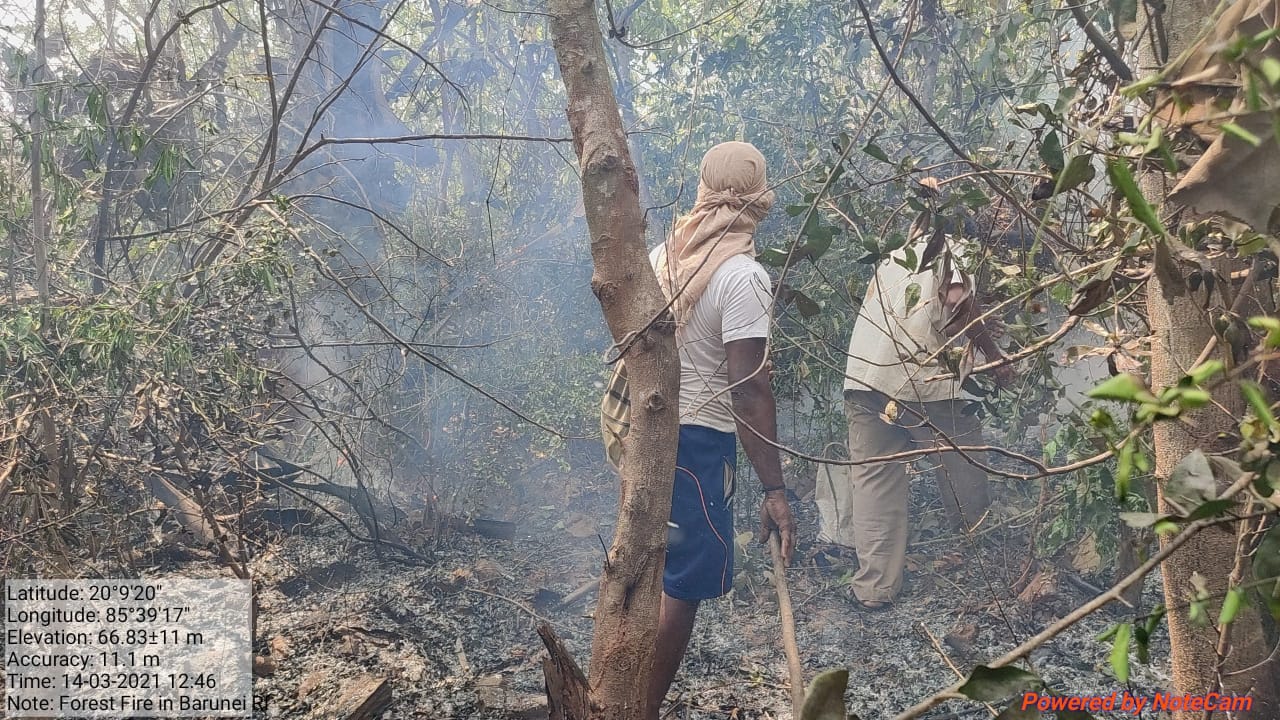 ଫରେଷ୍ଟ ଫାୟାର ଟାକ୍ସ ଫୋର୍ସ ସୂଚନା, ରାଜ୍ୟରେ ଜଙ୍ଗଲ ନିଆଁ ନିୟନ୍ତ୍ରଣାଧୀନ