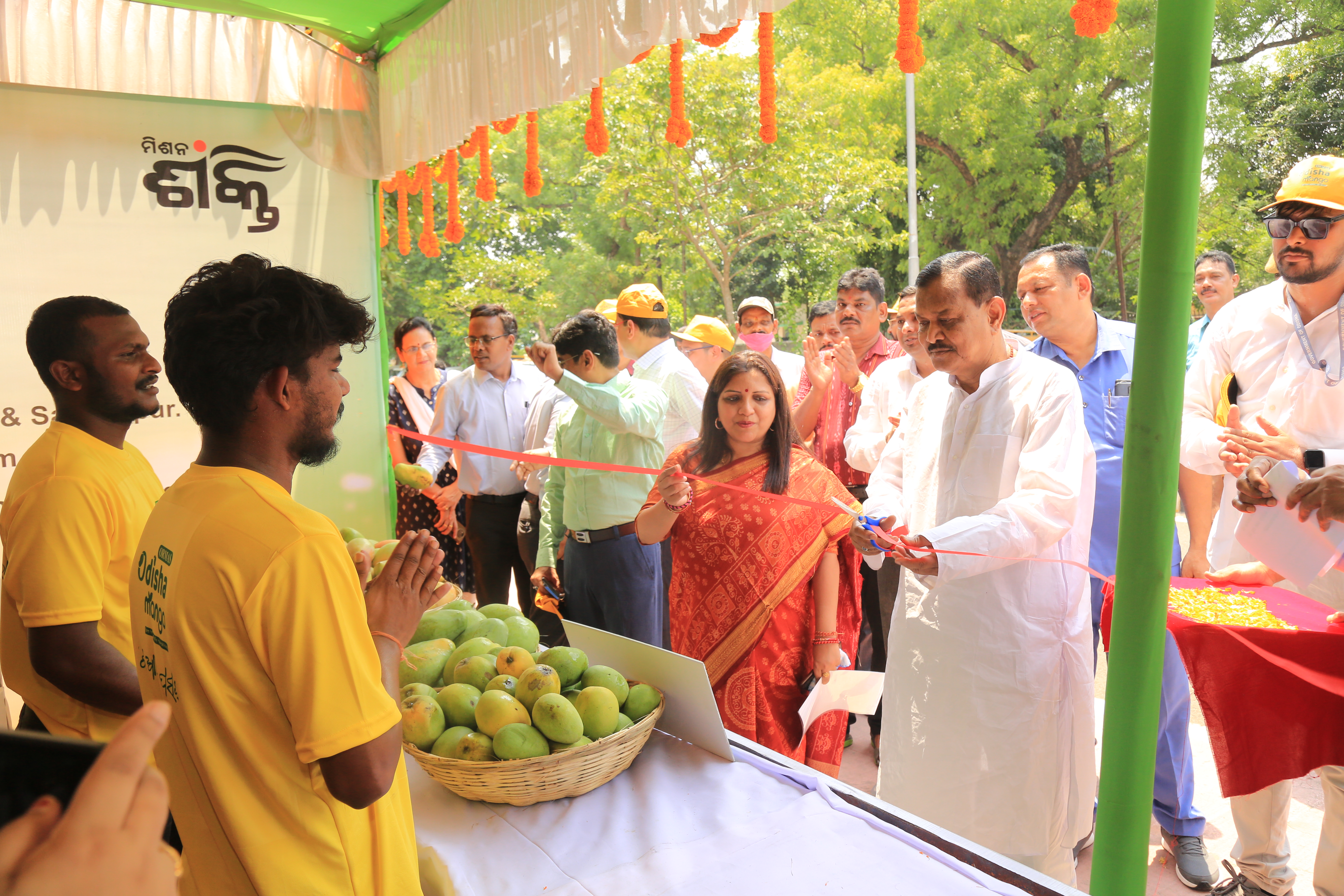 Mango on wheel