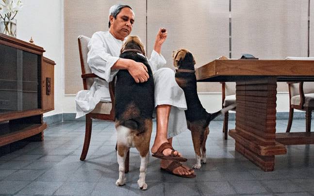 odisha cm plays with dogs