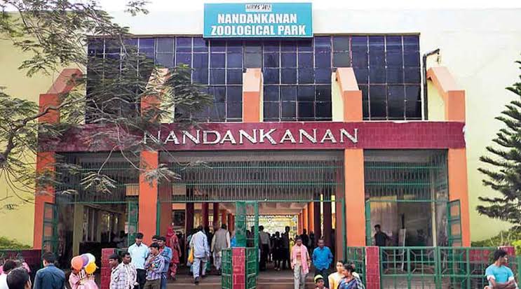 Nandankan Foundation Day: ବୁଧବାର ନନ୍ଦନକାନନ ପ୍ରତିଷ୍ଠା ଦିବସ, ନବଜାତଙ୍କ ହେବ ନାମକରଣ