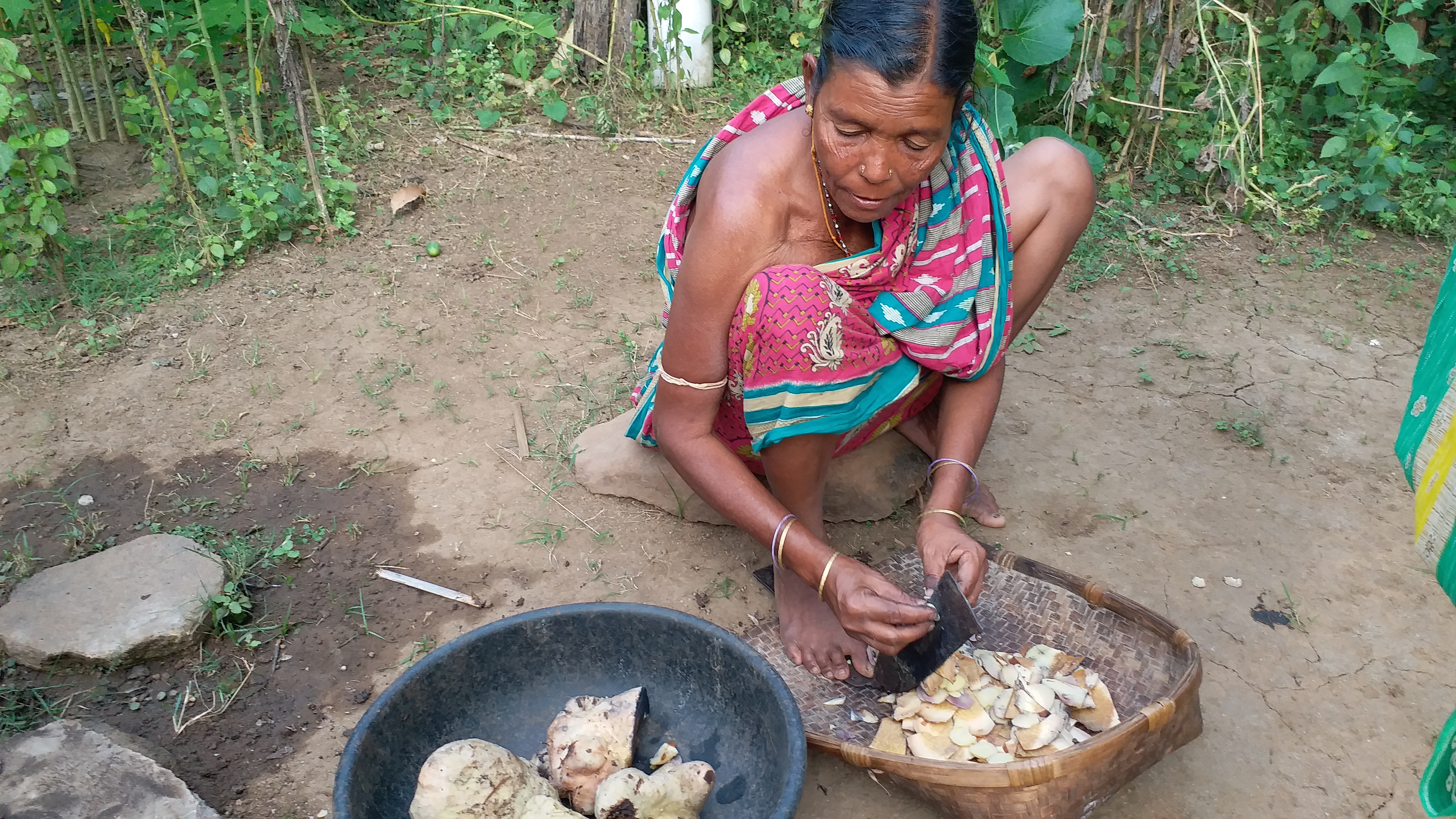 ଅସହାୟ ବୃଦ୍ଧା ଲୀଳାବତୀଙ୍କ ପାଇଁ ଆବାସ ଗୃହ ସାତସପନ