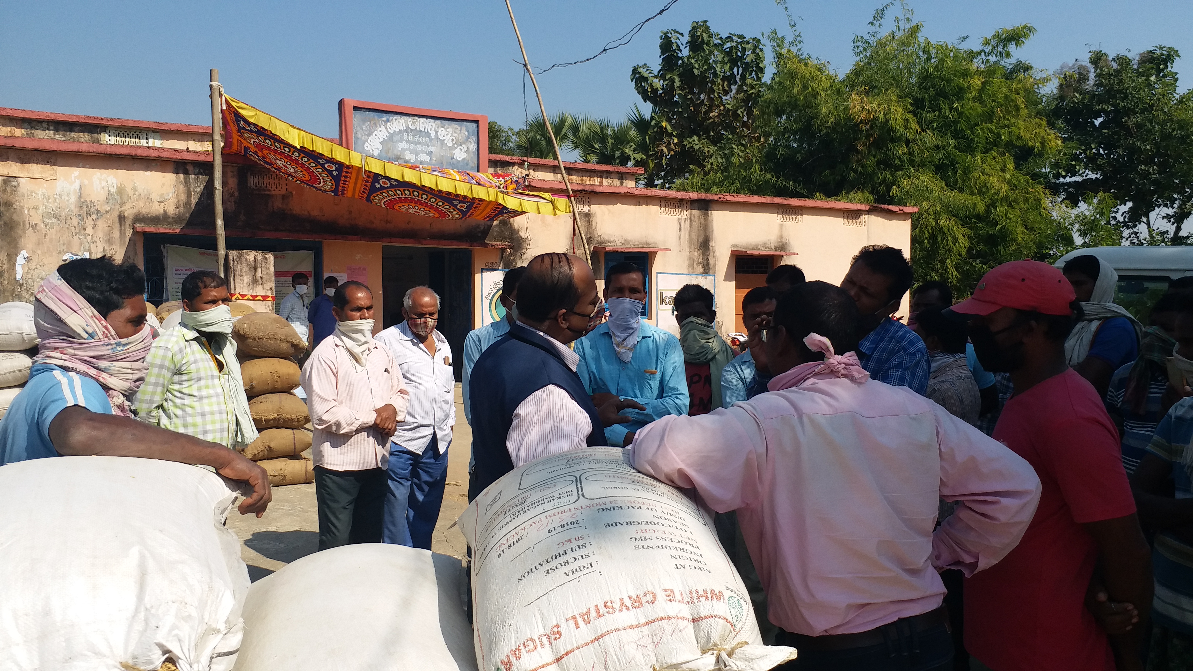 Paddy procurement began in mandi after the intervention of the ARCS