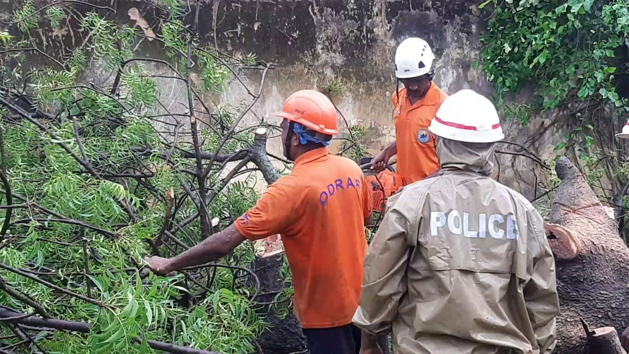 cuttack collector, review the situation in cuttack, cyclone amphan, bhabani shankar chayini, ବାତ୍ୟା ପରେ କଟକ ସ୍ଥିତି ସମୀକ୍ଷା କଲେ ଜିଲ୍ଲାପାଳ, ଜିଲ୍ଲାପାଳ ଭବାନୀ ଶଙ୍କର ଚୟନୀ, କଟକ ଖବର, ବାତ୍ୟା ଅମ୍ଫାନ