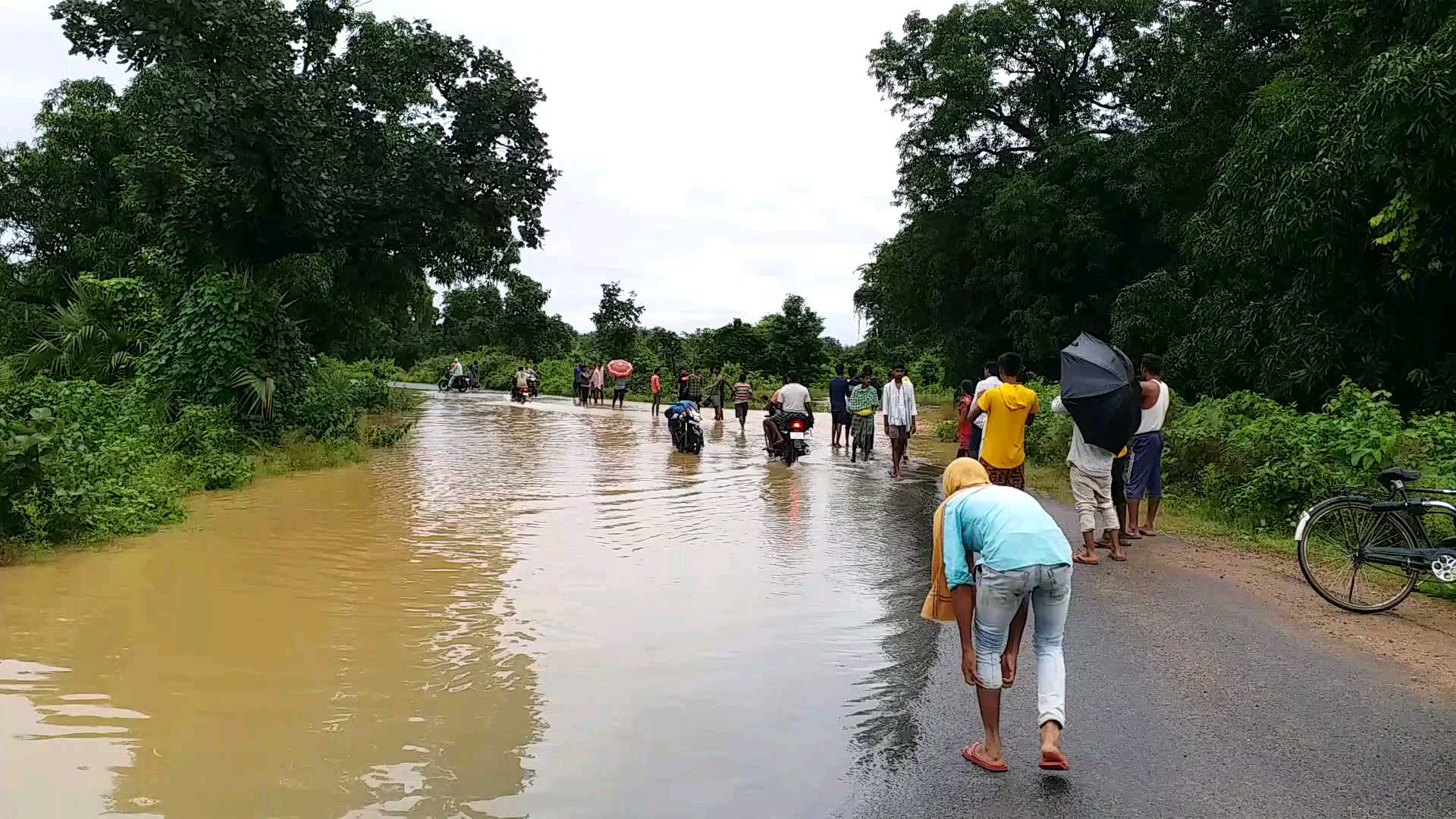 উড়িশা