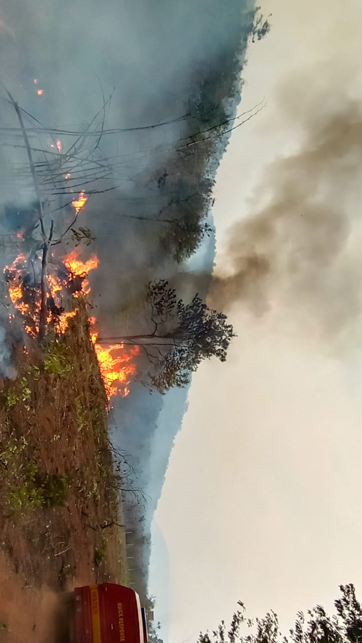 ଢେଙ୍କାନାଳ ସହର ପାଖ ମେଘା ଜଙ୍ଗଲରେ ନିଆଁ