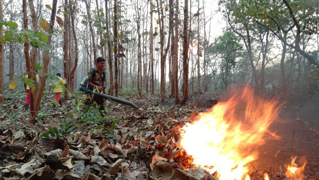 vଢେଙ୍କାନାଳ ସହର ପାଖ ମେଘା ଜଙ୍ଗଲରେ ନିଆଁ