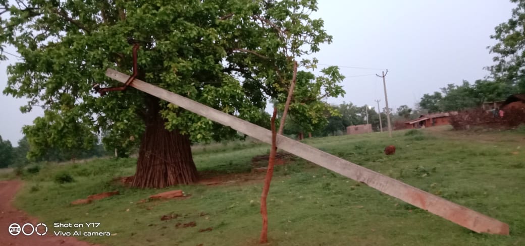 Nesco Company's Critical Policy, Wood poles in the hope of Electricity poles