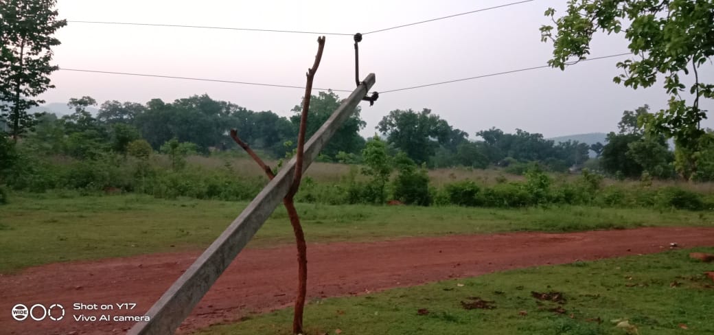 Nesco Company's Critical Policy, Wood poles in the hope of Electricity poles