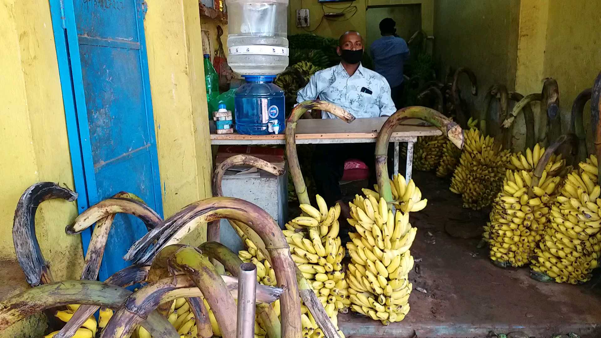 banana business