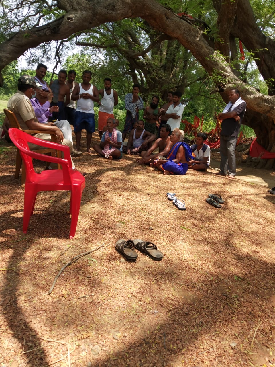 khurdha forest department, seized timber of worth rupees one lakh, ଲକ୍ଷାଧିକ ଟଙ୍କାର ଚୋରା କାଠ ଜବତ, ଖୋର୍ଦ୍ଧା ବନ ବିଭାଗ