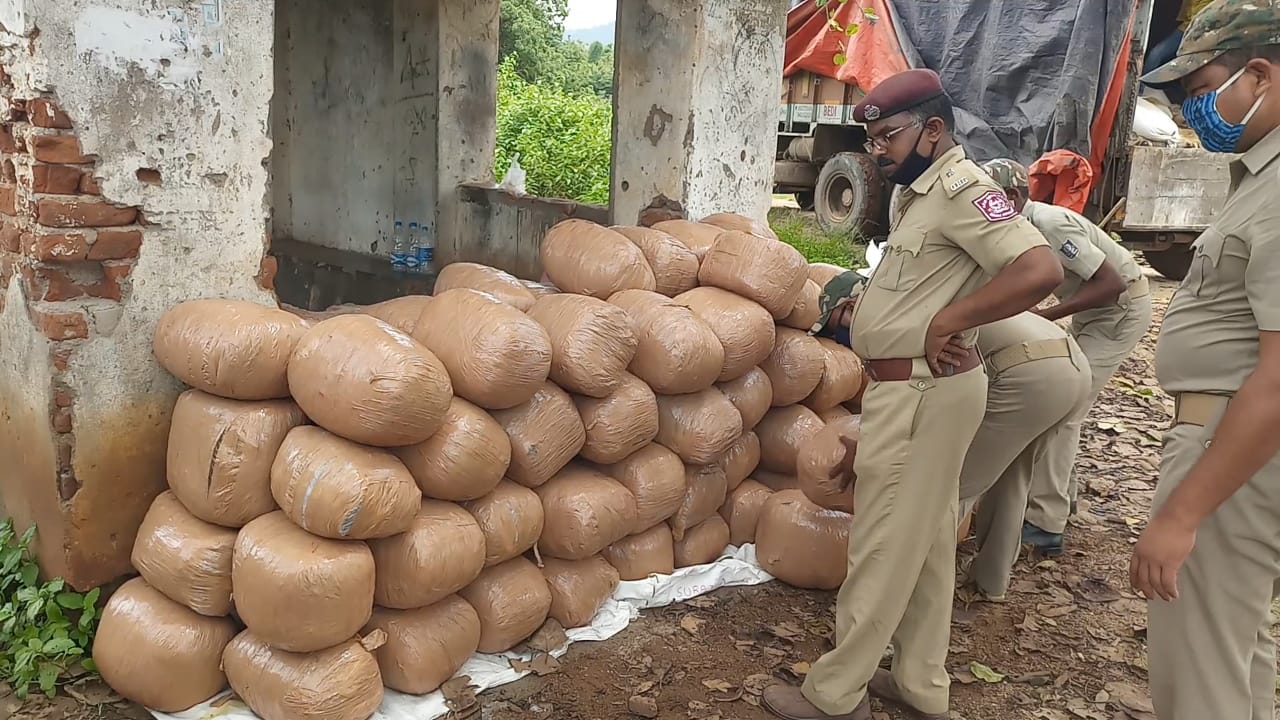 କୁଣ୍ଡା ବୋଝେଇ ଟ୍ରକରୁ ୪୯୮ କେ.ଜି ଗଞ୍ଜେଇ ଜବତ