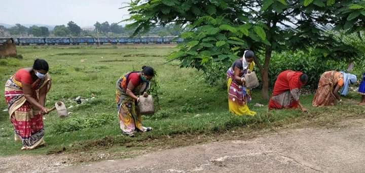 rourkela latest news, beautyfication of rourkela, development work in rourkela, state governments uwei scheme, earning amid lockdown, ରାଉରକେଲା ଲାଟେଷ୍ଟ ନ୍ୟୁଜ୍‌, ରାଉରକେଲା ସୌନ୍ଦର୍ଯ୍ୟୀକରଣ, ରାଉରକେଲାରେ ଉନ୍ନତିକରଣ କାର୍ଯ୍ୟ, ରାଜ୍ୟ ସରକାରଙ୍କ ୟୁଡବ୍ଲଇଆଇ ଯୋଜନା, ଲକଡାଉନରେ ରୋଜଗାର