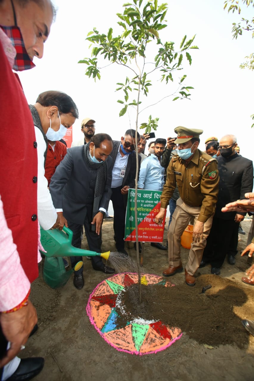 Tree planting