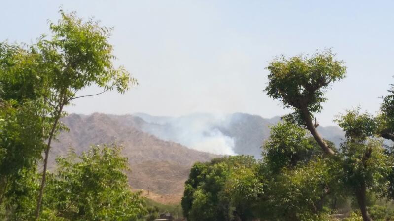 Fire in Kumbhalgarh Wildlife Sanctuary , pali news