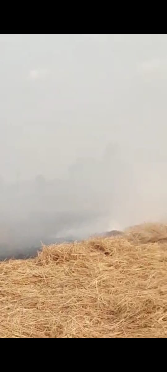 farmer set fire to the stubble barnala