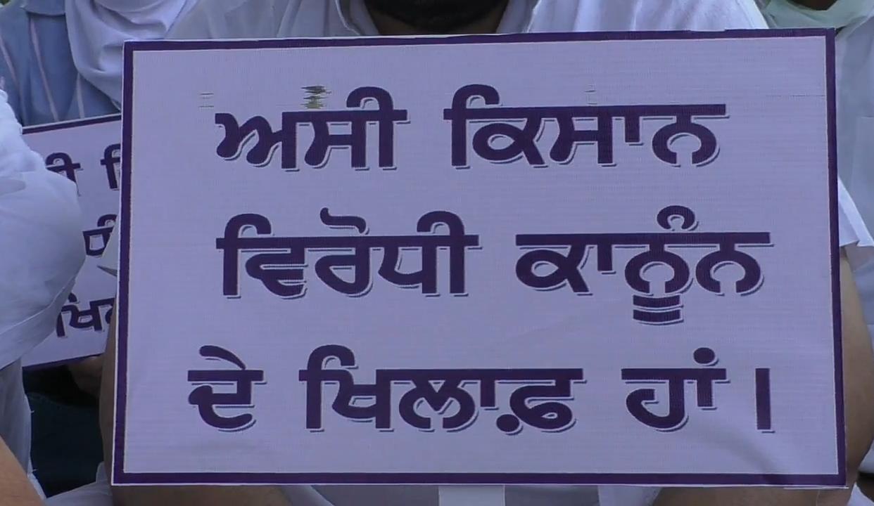 Congressmen vehemently oppose central government in protest of agricultural bills in Barnala