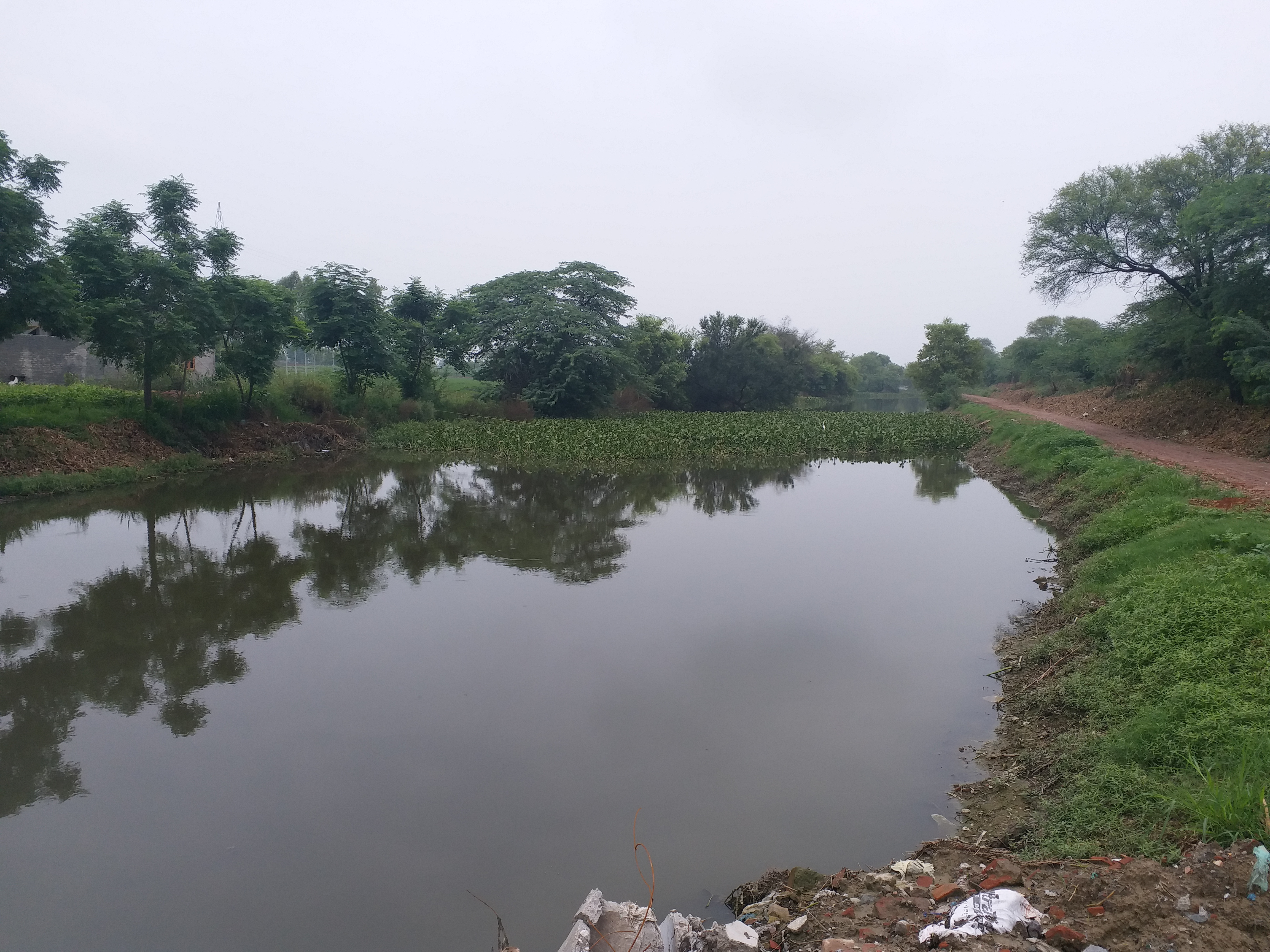 Due to non-cleaning of Lasara drain, water flooded the fields, disturbing the people