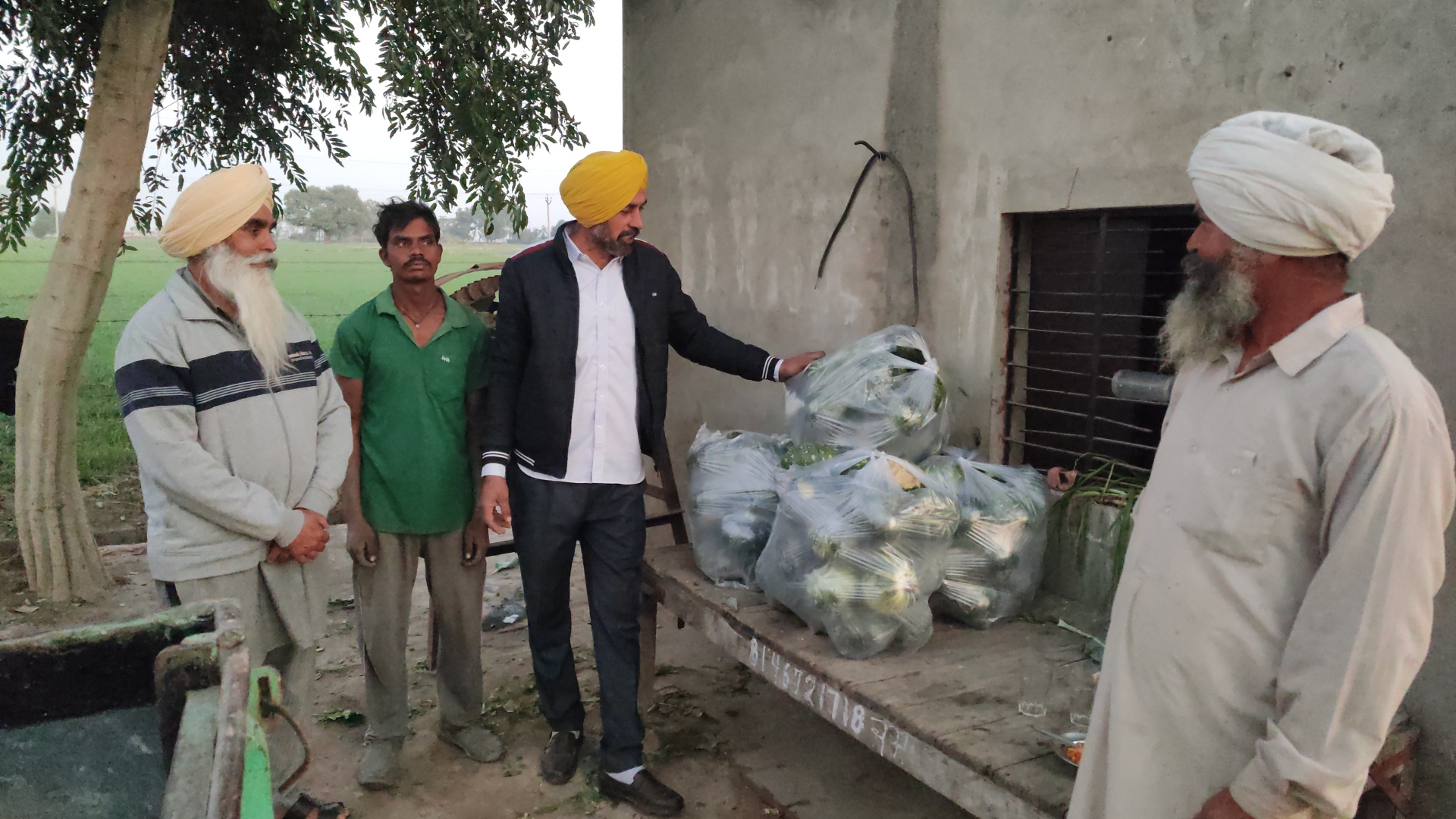 farming of vegetables, Village Mohra in Barnala