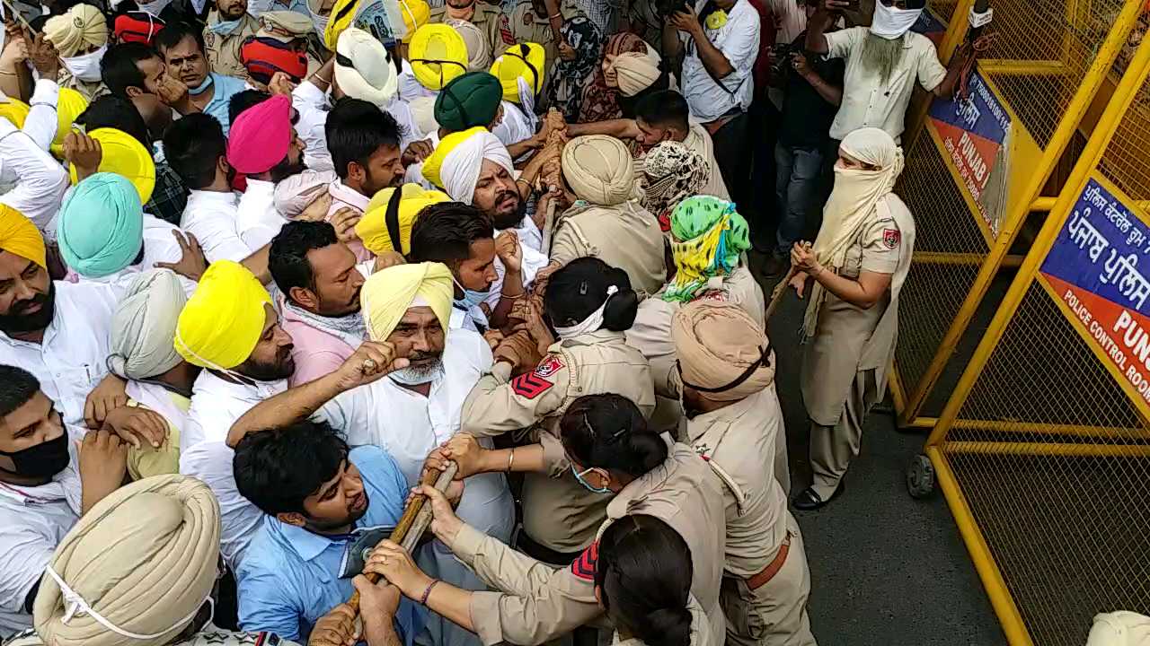 AAP staged a protest in Bathinda over the issue of bathinda thermal land