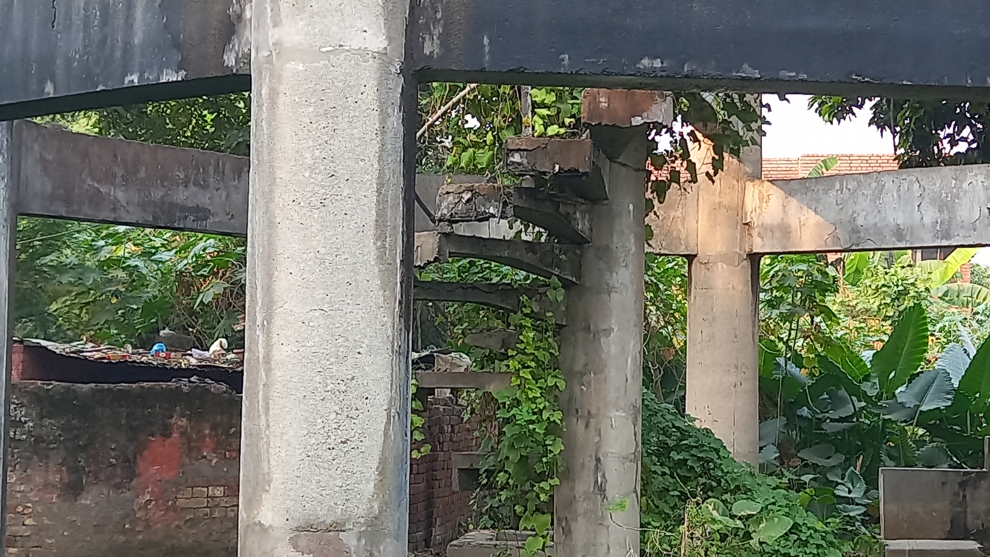 In the dilapidated condition of the water tank in the civil hospital of Ludhiana