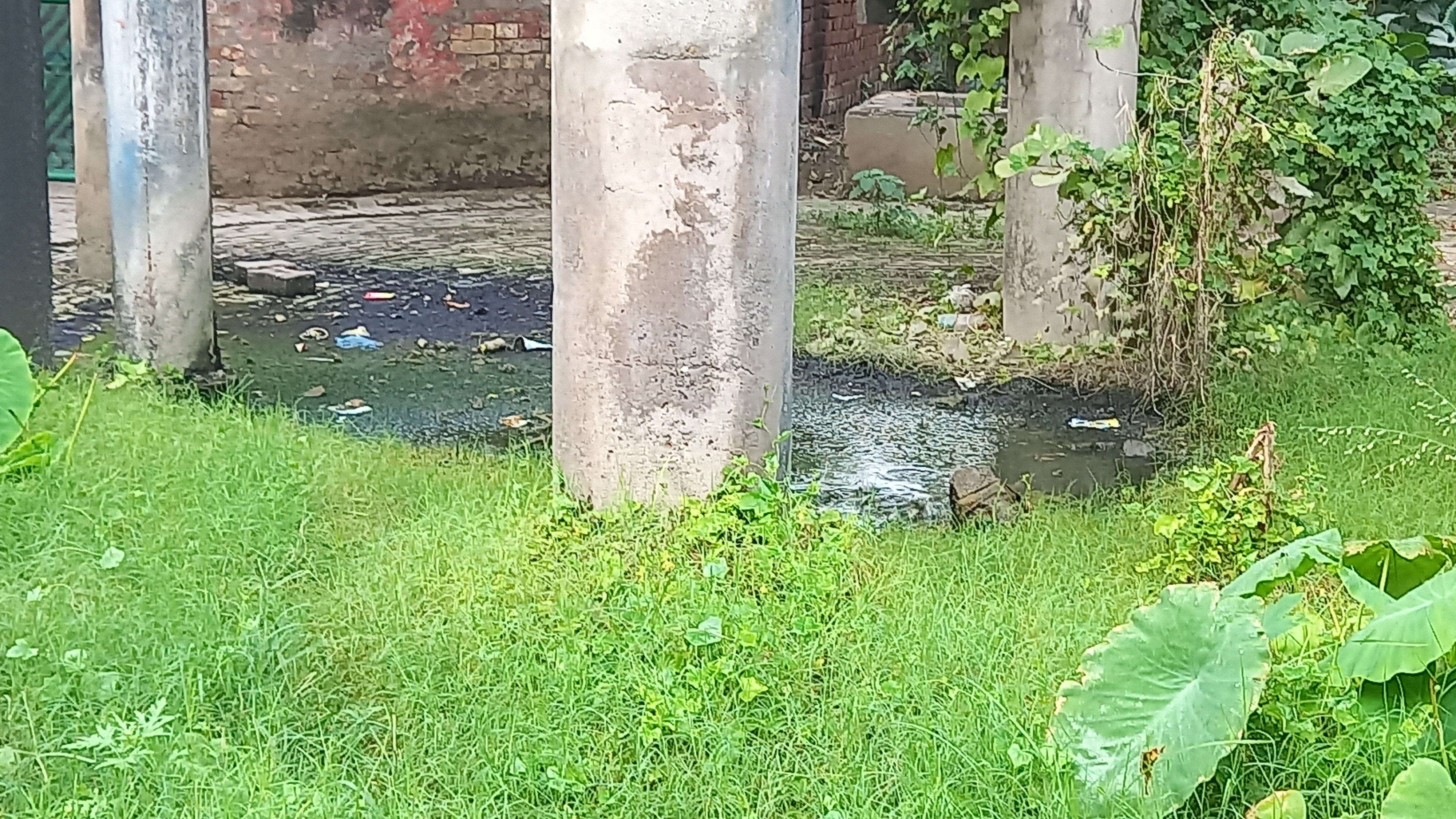 In the dilapidated condition of the water tank in the civil hospital of Ludhiana