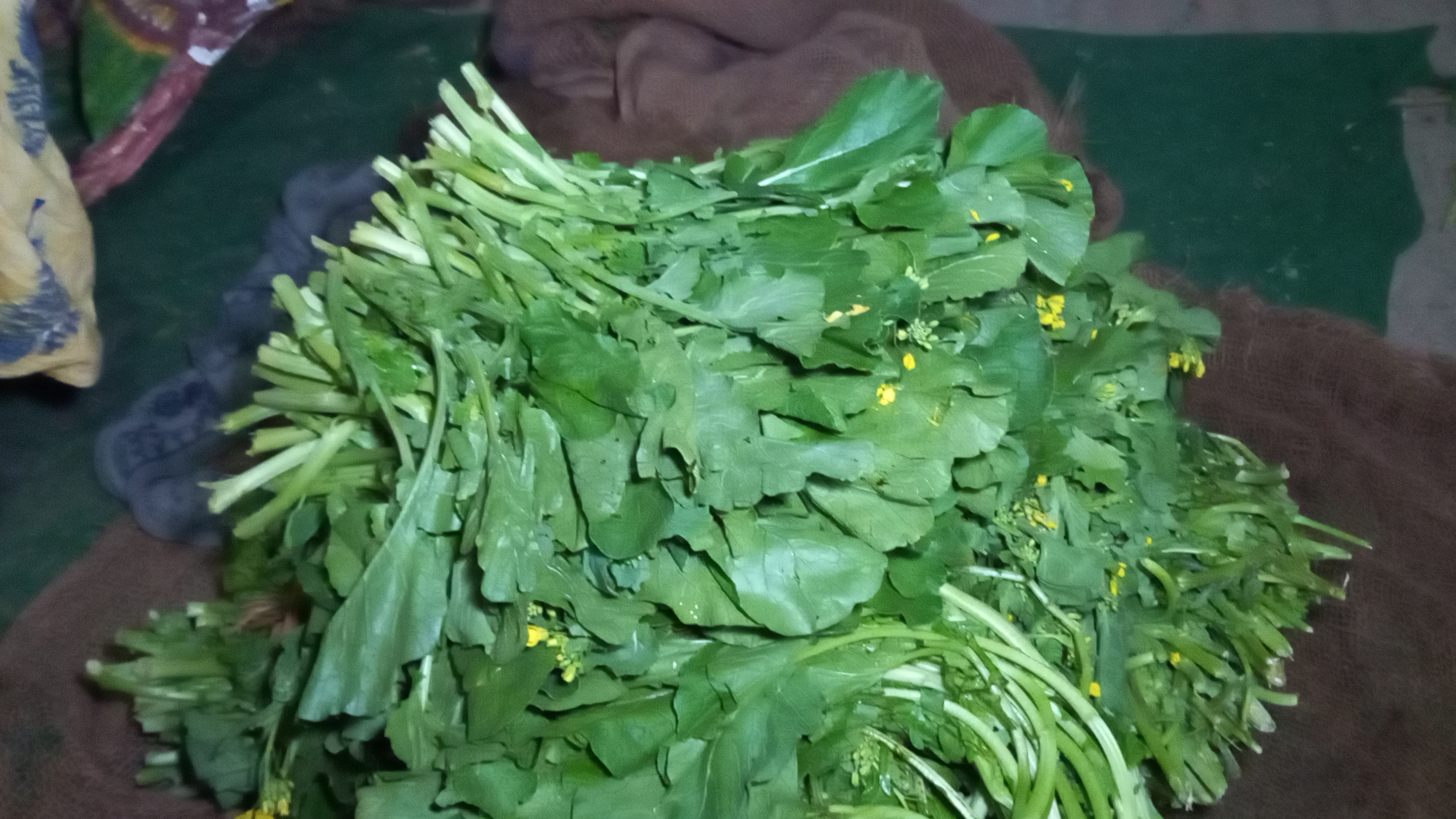 Women sell saag for a living on the road, people in cities take fresh greens from the women