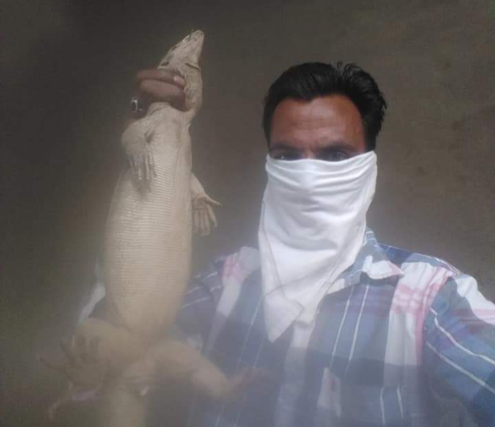 Snake rescuer Parvinder Singh of Ludhiana