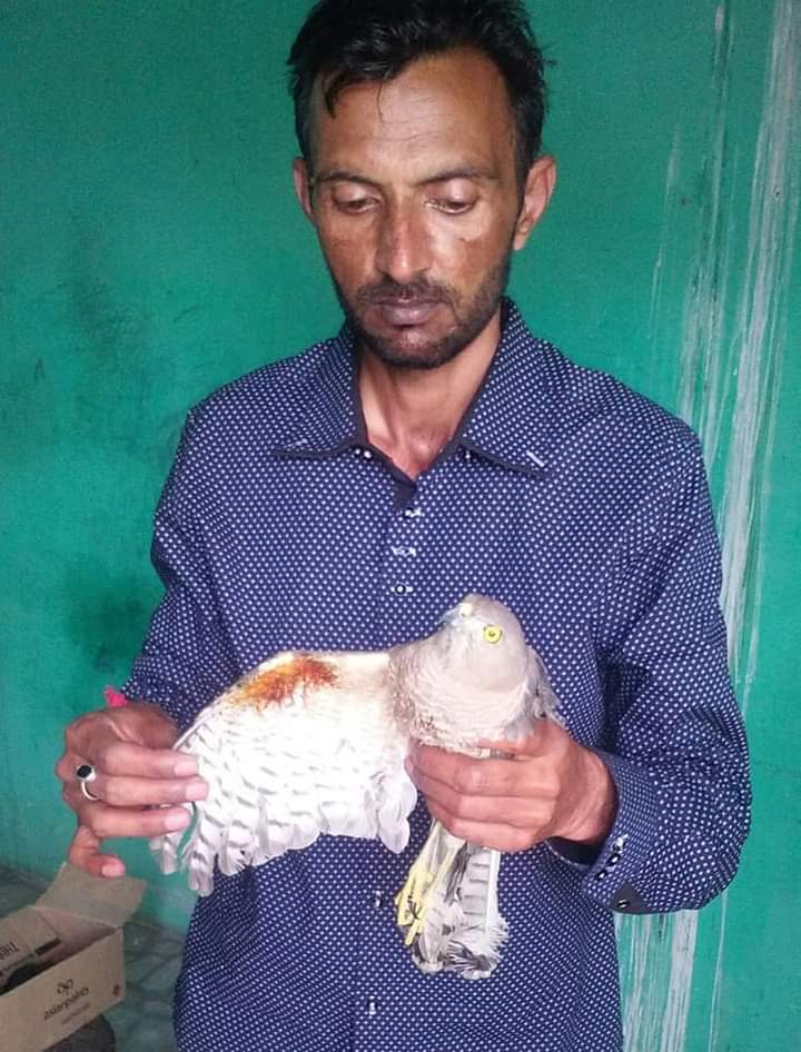 Snake rescuer Parvinder Singh of Ludhiana
