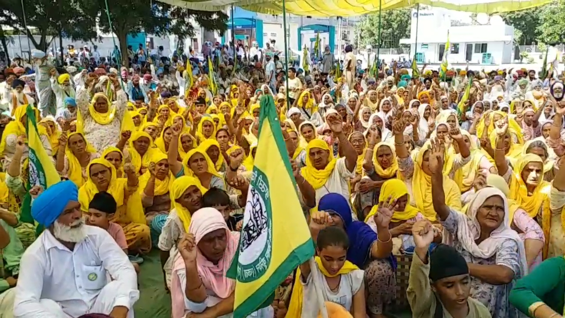 Girls are also taking part in the ongoing peasant struggle against agricultural laws on a large scale