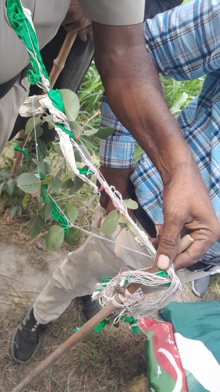 Pakistani flag found hanging from a tree