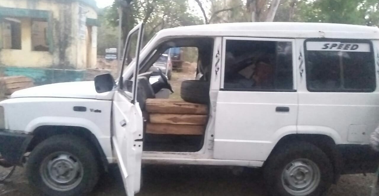 forest department seized the illegal teak wood and took action