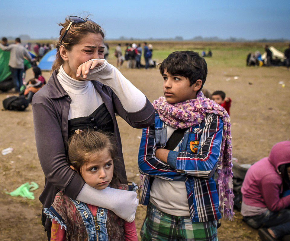 UNHCR रिपोर्ट