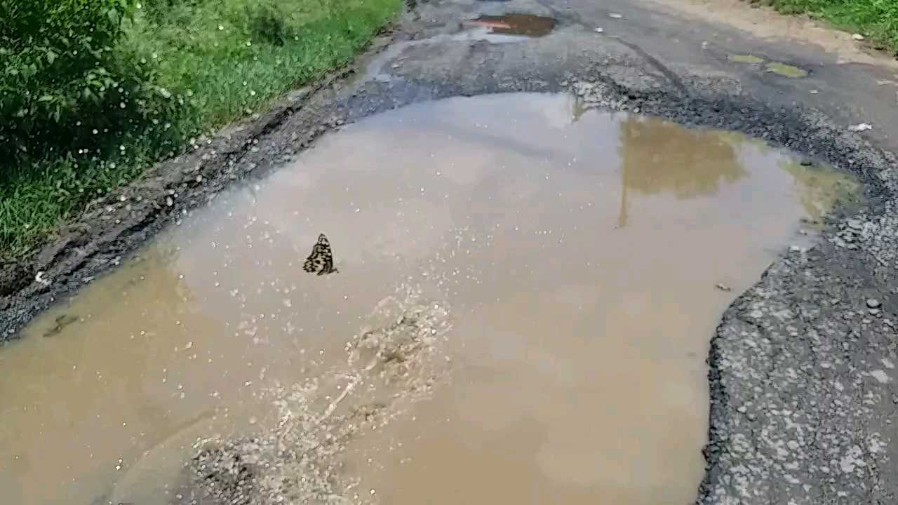 Water fills in the pits