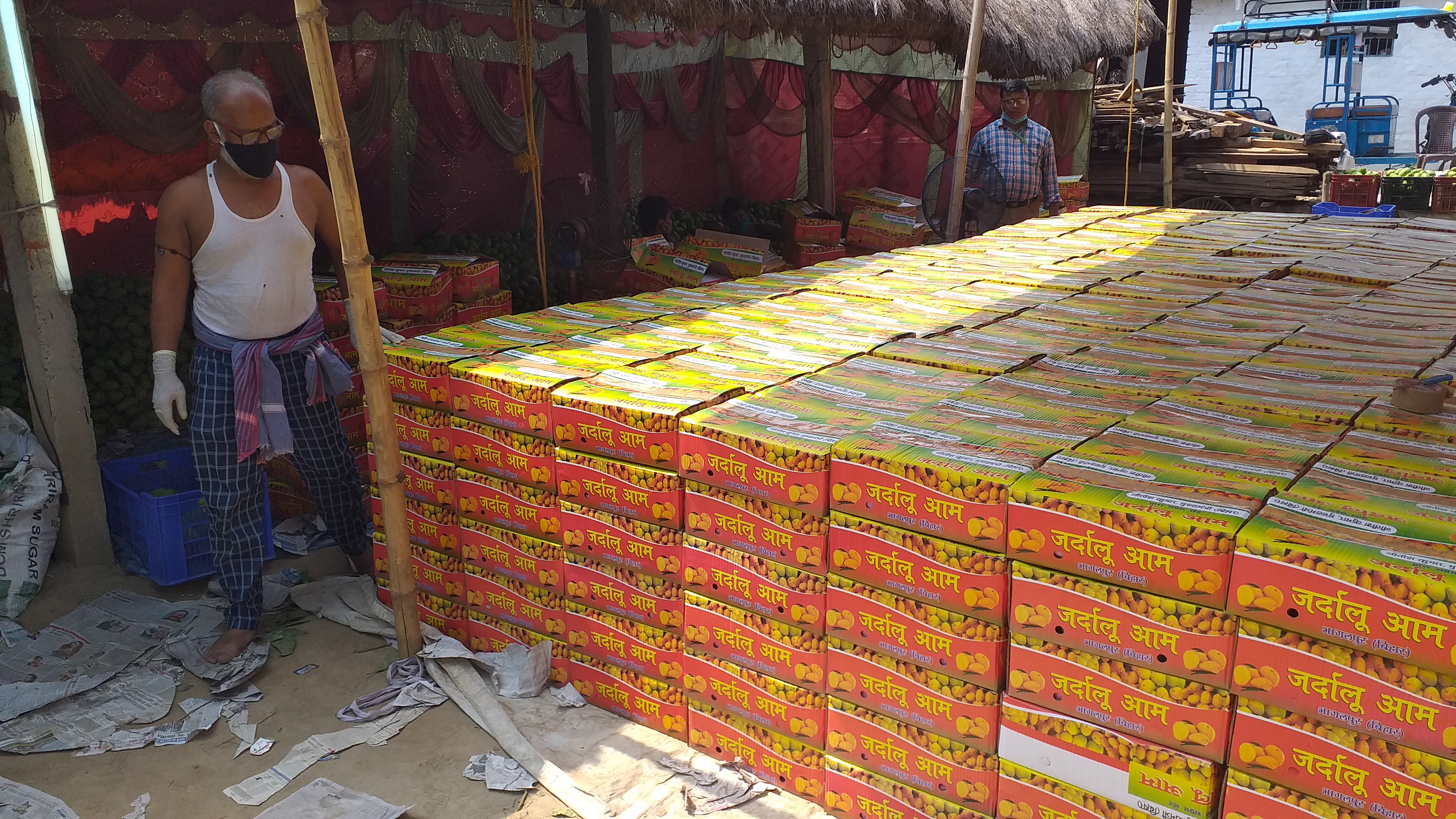 दिल्ली भेजे गए जर्दालु आम के 2 हजार पैकेट