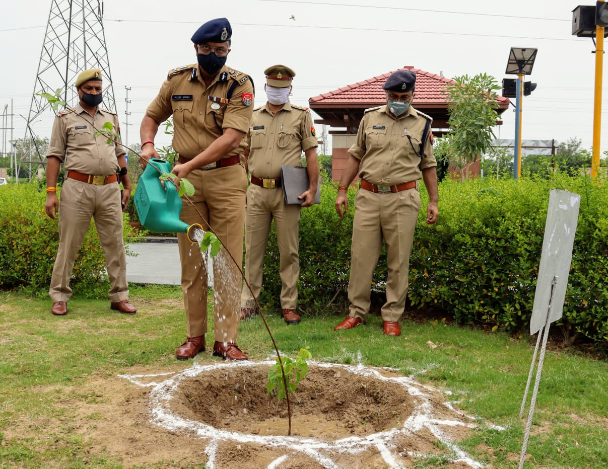 Senior officers planting trees