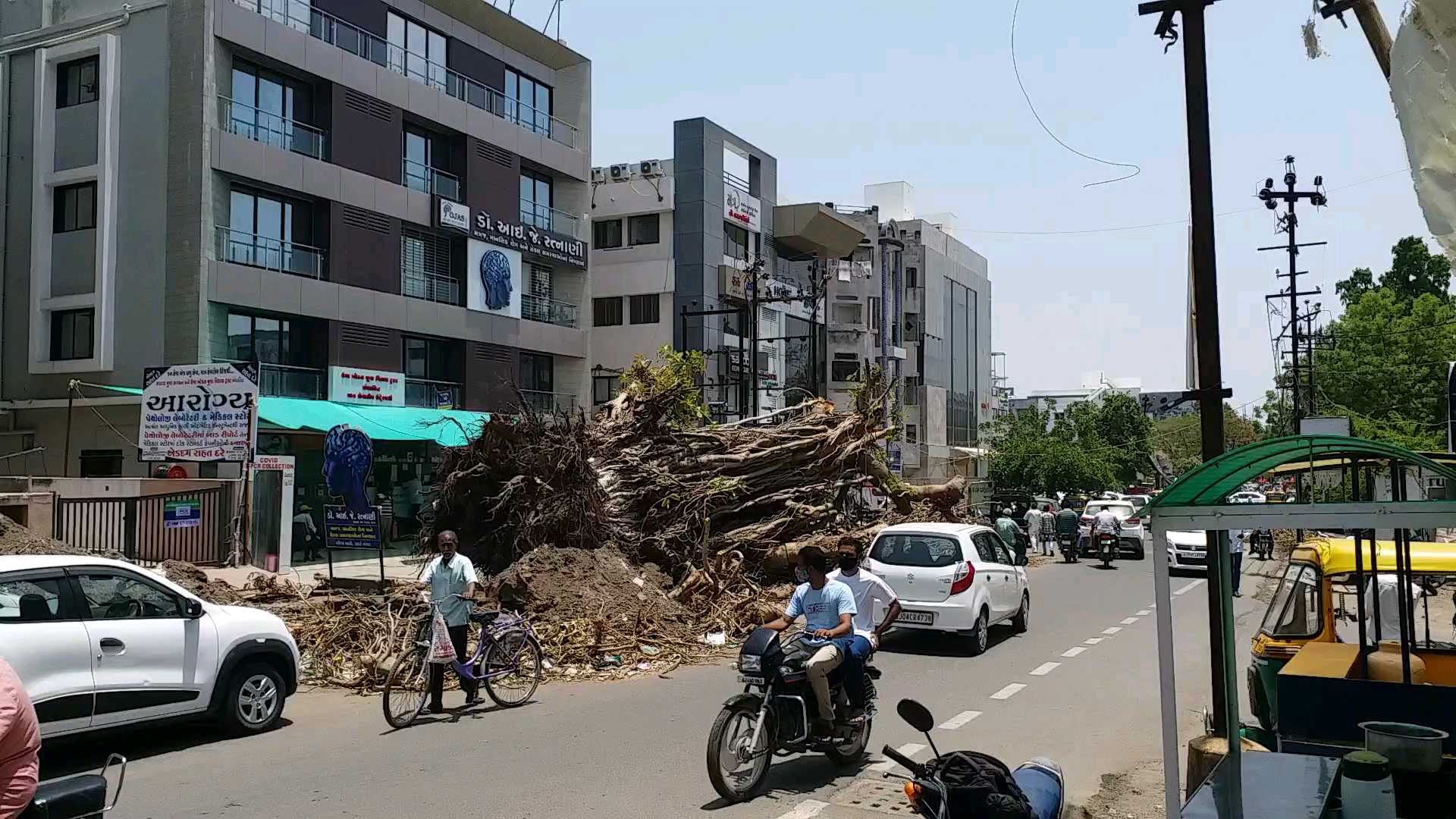 ભાવનગરમાં વાવાઝોડાના 7 દિવસે પણ વૃક્ષો અને વિજપોલ રસ્તા પર અકસ્માતને આપી રહ્યા નોતરૂં