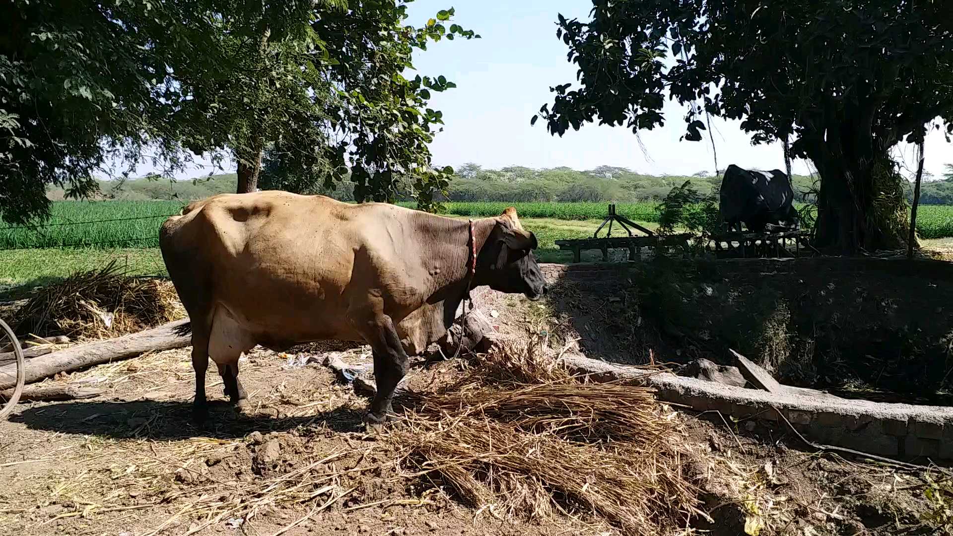 ભાવનગર