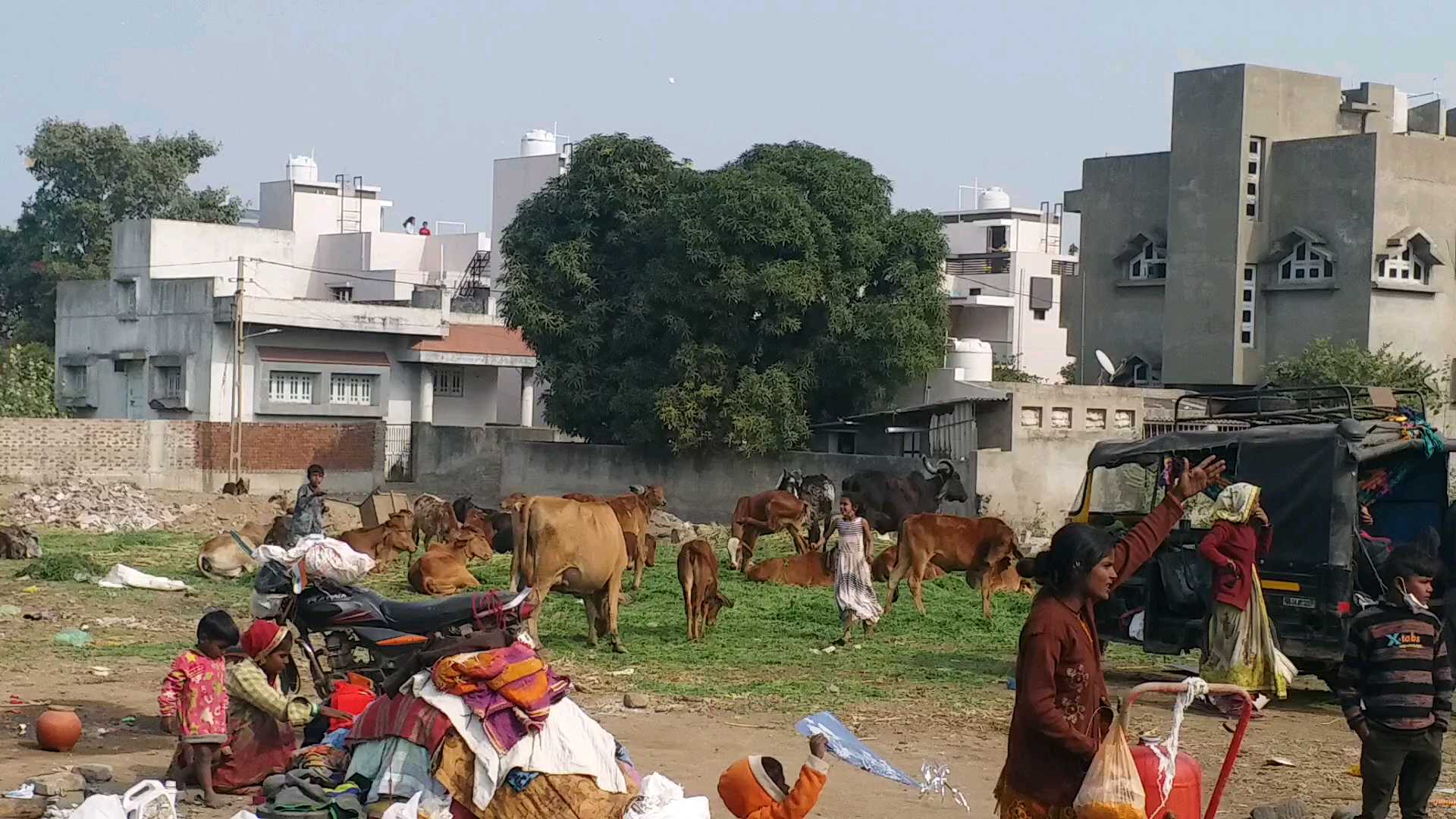 ભાવનગરવાસીઓએ ફુગ્ગાઓ ખરીદી કરી ઉજવણી