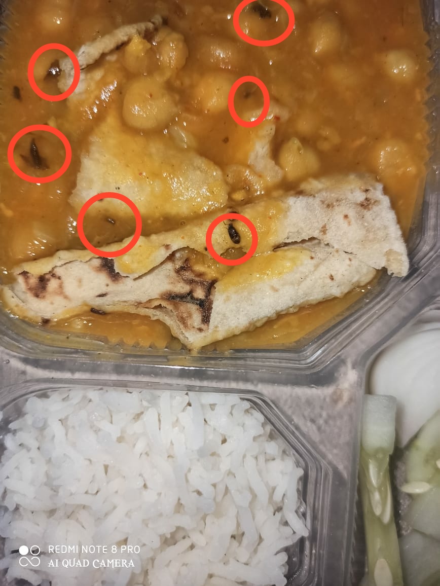 cockroach found in corona patients food at covid care center panchkula