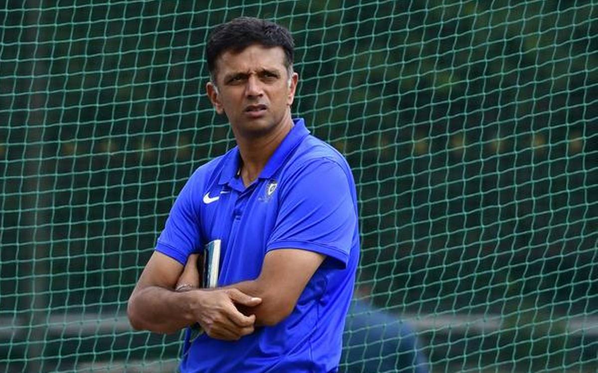 BCCI  NCA head  Rahul Dravid