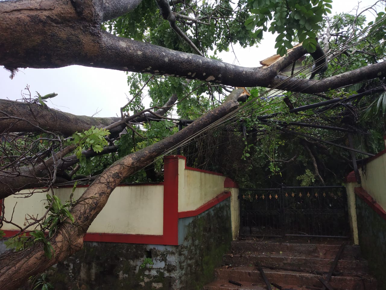 a-tree-falls-on-the-national-highway-in-tirthahalli