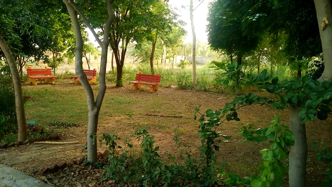 Hanumangarh Environment Lover Ladhusingh Bhati