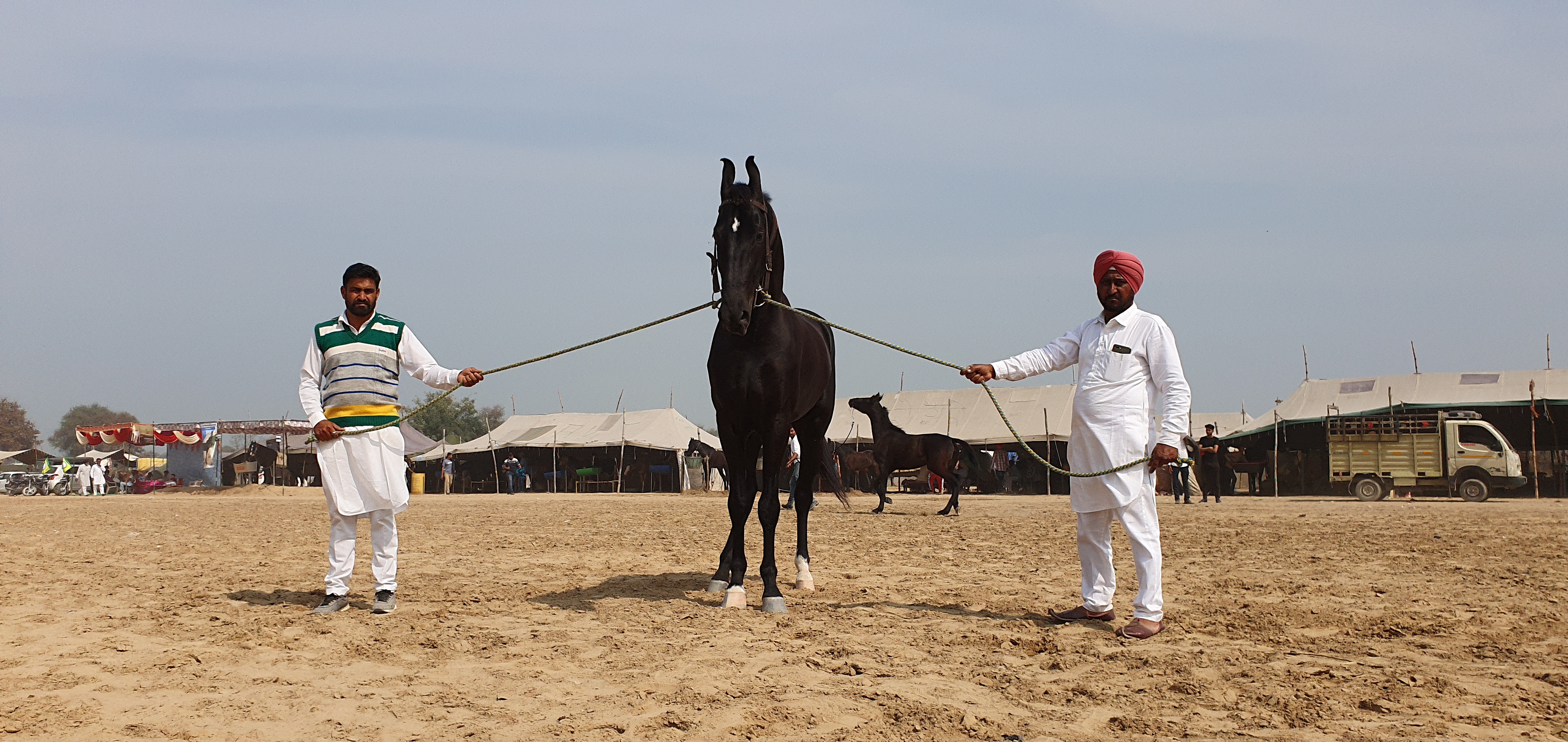 Hanumangarh Ashwa Mela, Bhatner's horse fair in Hanumangarh, Salman khan's horse in ashwa fair