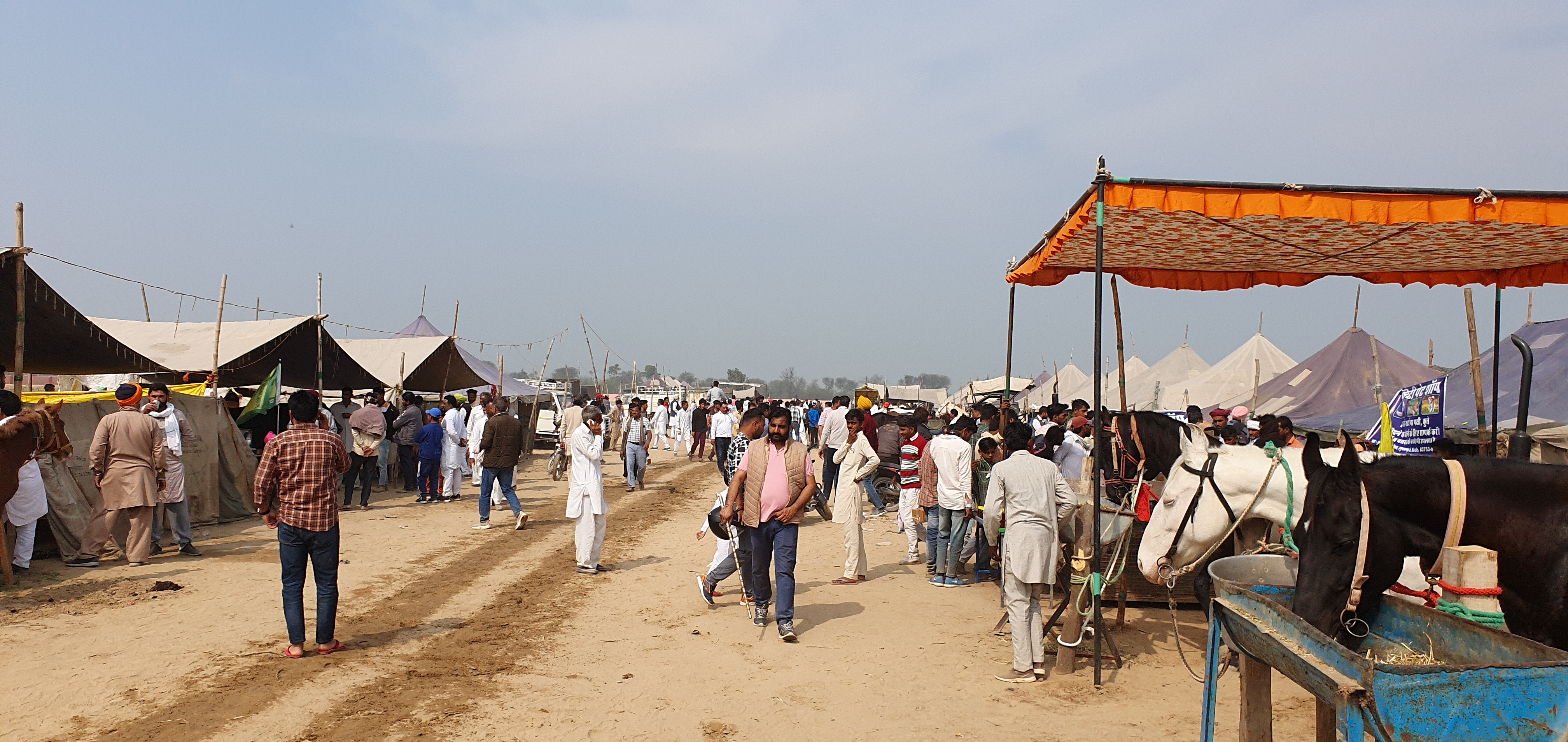 Hanumangarh Ashwa Mela, Bhatner's horse fair in Hanumangarh, Salman khan's horse in ashwa fair