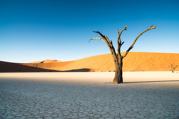 Unknown facts about Deadvlei, Deadvlei,   Beautiful Yet Dead Forest,World’s Highest Sand Dunes, ମନୋରମ କିନ୍ତୁ ମୃତ ଜଙ୍ଗଲ, ଡେଡ୍‌ ଭ୍ଲେଇ, ନାମିବିଆର ନାମିବ-ନଉକଲପ୍ଟ ପାର୍କ,  Unknown facts, ଅଜଣା କଥା