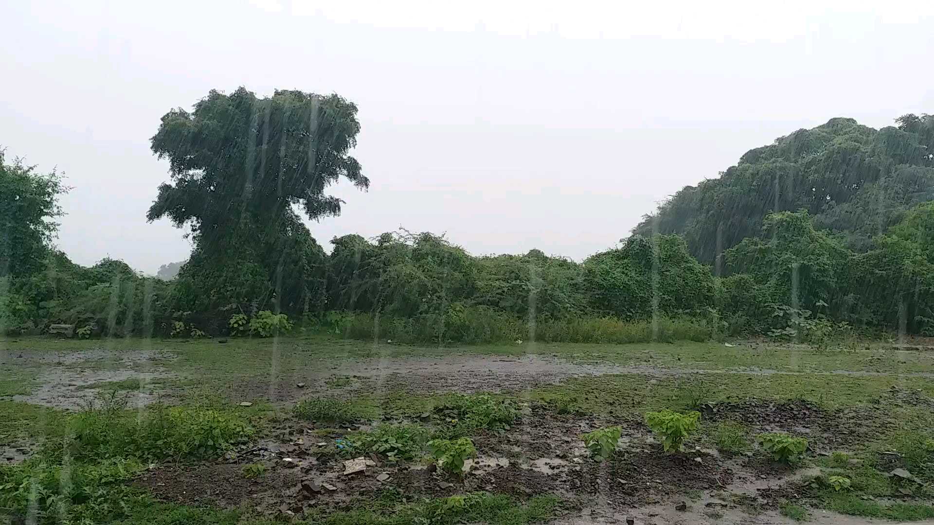 rain spoil janmastami celebration