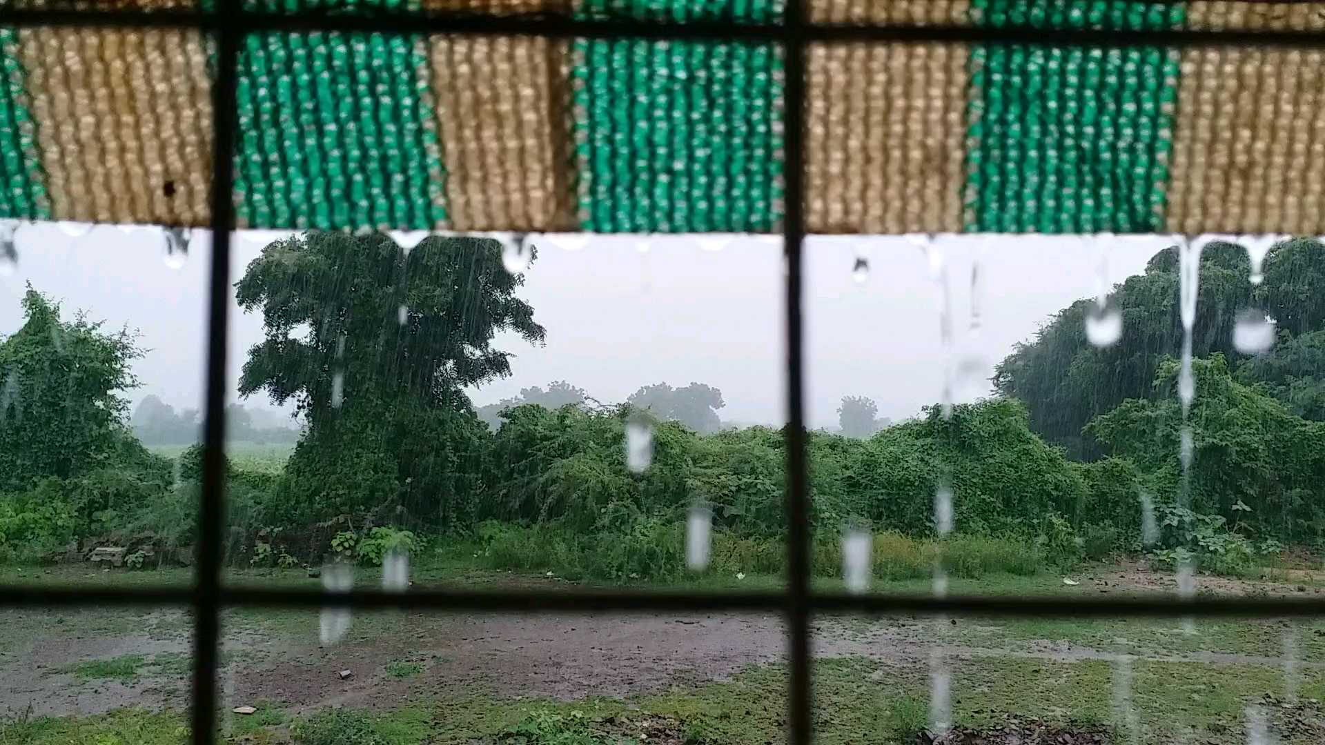 rain spoil janmastami celebration